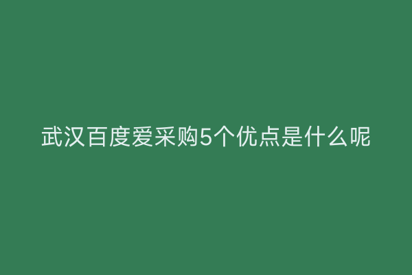 武汉百度爱采购5个优点是什么呢