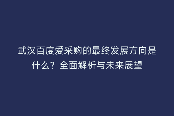武汉百度爱采购的最终发展方向是什么？全面解析与未来展望