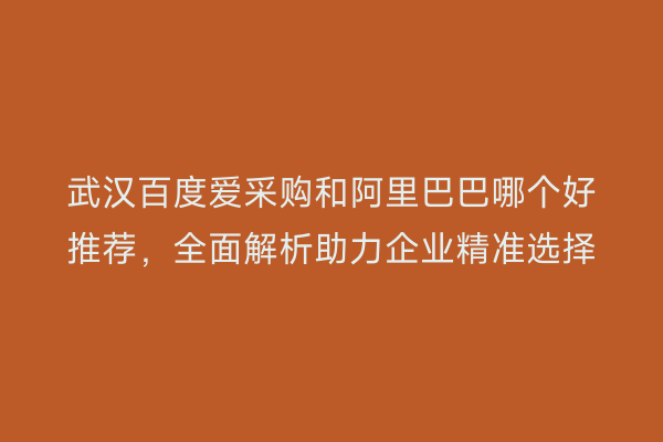 武汉百度爱采购和阿里巴巴哪个好推荐，全面解析助力企业精准选择