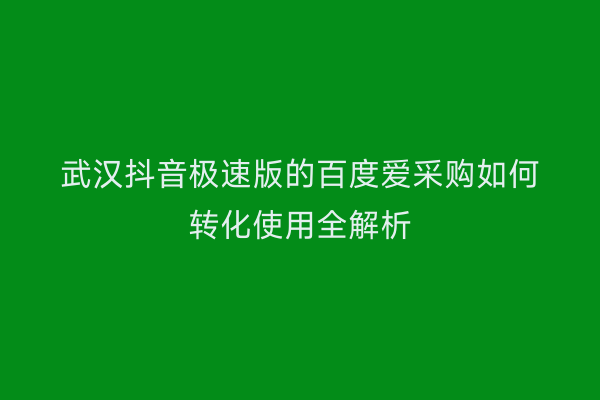 武汉抖音极速版的百度爱采购如何转化使用全解析