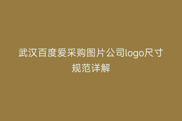 武汉百度爱采购图片公司logo尺寸规范详解