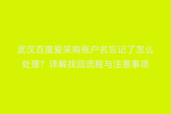 武汉百度爱采购账户名忘记了怎么处理？详解找回流程与注意事项