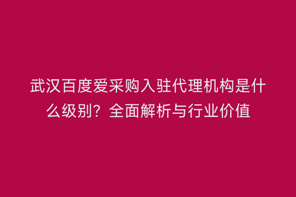 武汉百度爱采购入驻代理机构是什么级别？全面解析与行业价值