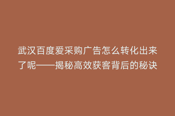 武汉百度爱采购广告怎么转化出来了呢——揭秘高效获客背后的秘诀