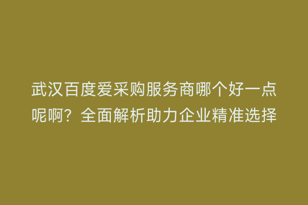 武汉百度爱采购服务商哪个好一点呢啊？全面解析助力企业精准选择