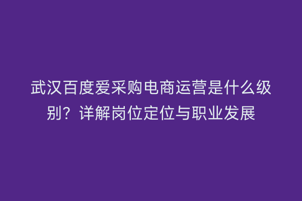 武汉百度爱采购电商运营是什么级别？详解岗位定位与职业发展