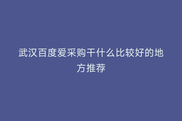 武汉百度爱采购干什么比较好的地方推荐