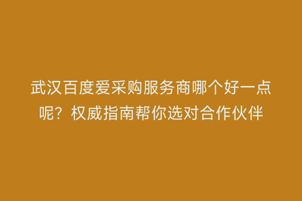 武汉百度爱采购服务商哪个好一点呢？权威指南帮你选对合作伙伴