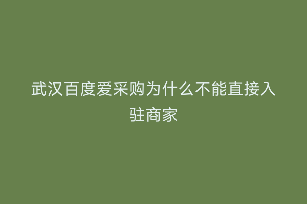武汉百度爱采购为什么不能直接入驻商家