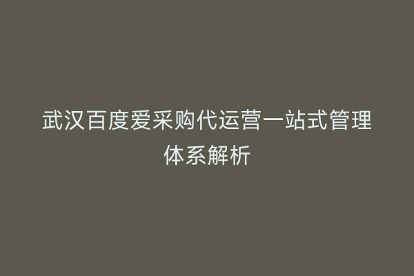 武汉百度爱采购代运营一站式管理体系解析