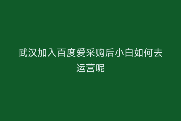 武汉加入百度爱采购后小白如何去运营呢