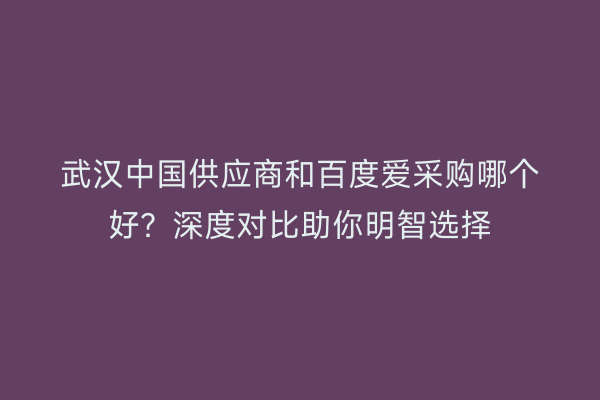 武汉中国供应商和百度爱采购哪个好？深度对比助你明智选择