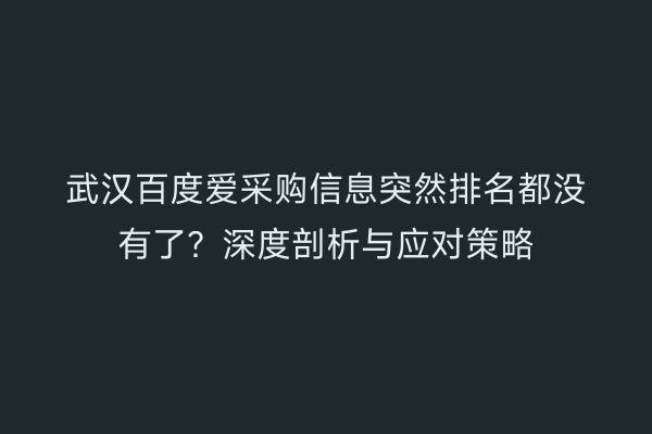 武汉百度爱采购信息突然排名都没有了？深度剖析与应对策略