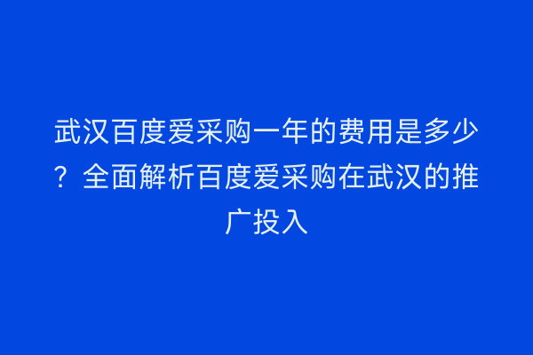 武汉百度爱采购一年的费用是多少？全面解析百度爱采购在武汉的推广投入
