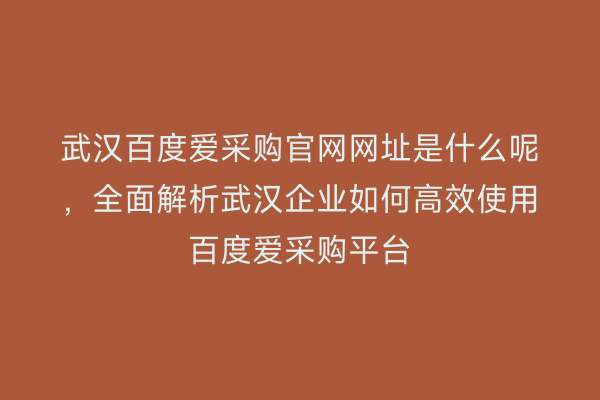 武汉百度爱采购官网网址是什么呢，全面解析武汉企业如何高效使用百度爱采购平台