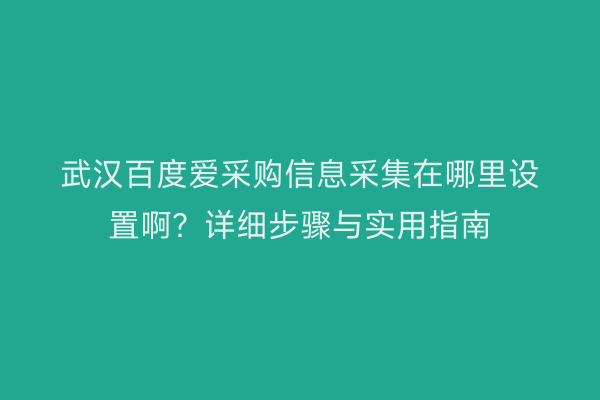 武汉百度爱采购信息采集在哪里设置啊？详细步骤与实用指南