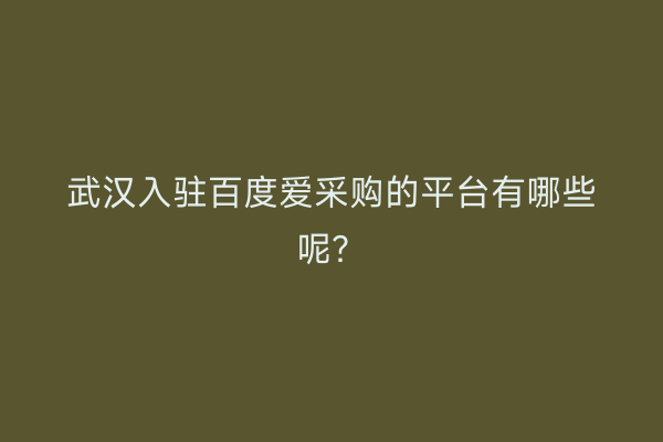 武汉入驻百度爱采购的平台有哪些呢？