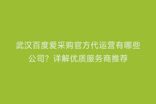 武汉百度爱采购官方代运营有哪些公司？详解优质服务商推荐