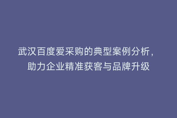 武汉百度爱采购的典型案例分析，助力企业精准获客与品牌升级