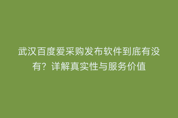 武汉百度爱采购发布软件到底有没有？详解真实性与服务价值