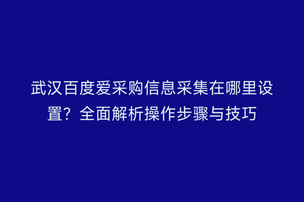 武汉百度爱采购信息采集在哪里设置？全面解析操作步骤与技巧