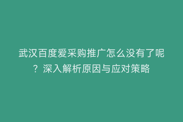 武汉百度爱采购推广怎么没有了呢？深入解析原因与应对策略