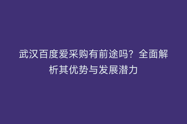 武汉百度爱采购有前途吗？全面解析其优势与发展潜力
