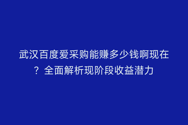 武汉百度爱采购能赚多少钱啊现在？全面解析现阶段收益潜力