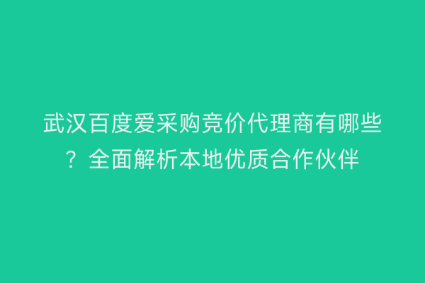 武汉百度爱采购竞价代理商有哪些？全面解析本地优质合作伙伴