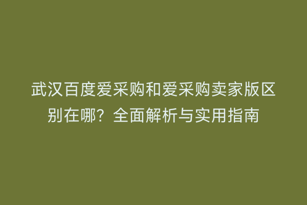 武汉百度爱采购和爱采购卖家版区别在哪？全面解析与实用指南