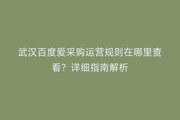 武汉百度爱采购运营规则在哪里查看？详细指南解析