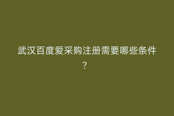 武汉百度爱采购注册需要哪些条件?