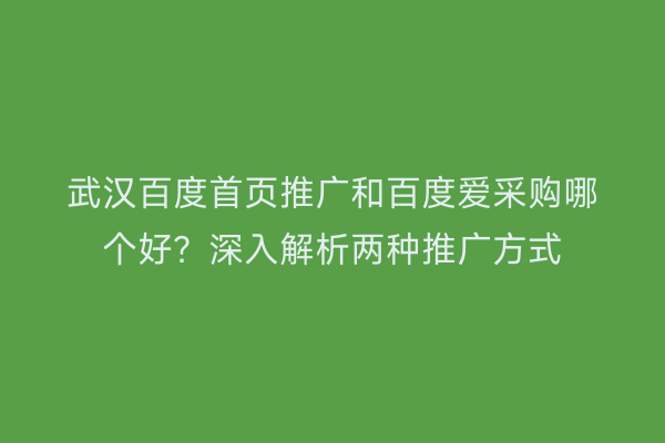 武汉百度首页推广和百度爱采购哪个好？深入解析两种推广方式