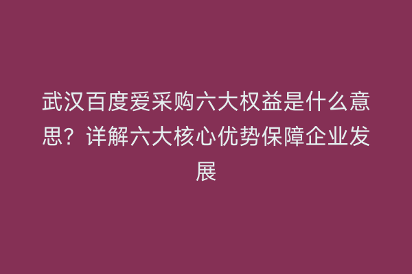 武汉百度爱采购六大权益是什么意思？详解六大核心优势保障企业发展