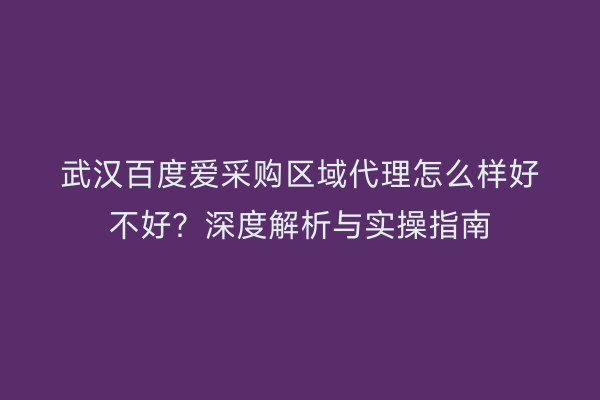 武汉百度爱采购区域代理怎么样好不好？深度解析与实操指南