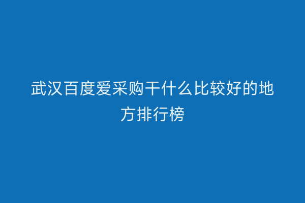 武汉百度爱采购干什么比较好的地方排行榜