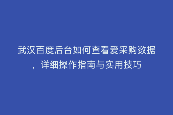 武汉百度后台如何查看爱采购数据，详细操作指南与实用技巧