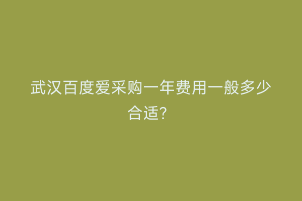 武汉百度爱采购一年费用一般多少合适？