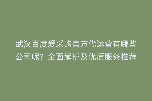武汉百度爱采购官方代运营有哪些公司呢？全面解析及优质服务推荐