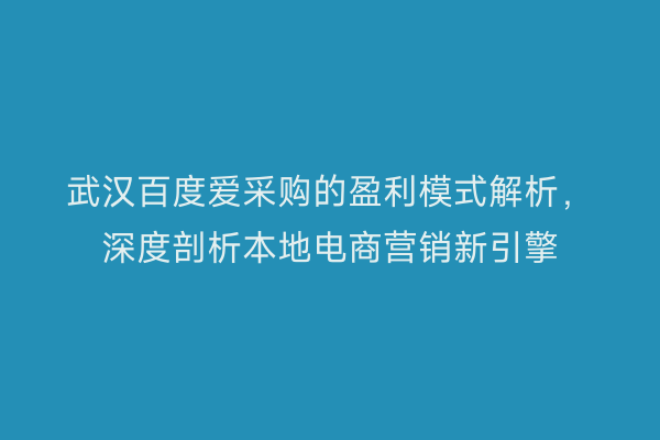 武汉百度爱采购的盈利模式解析，深度剖析本地电商营销新引擎