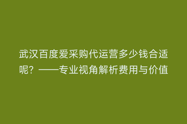 武汉百度爱采购代运营多少钱合适呢？——专业视角解析费用与价值