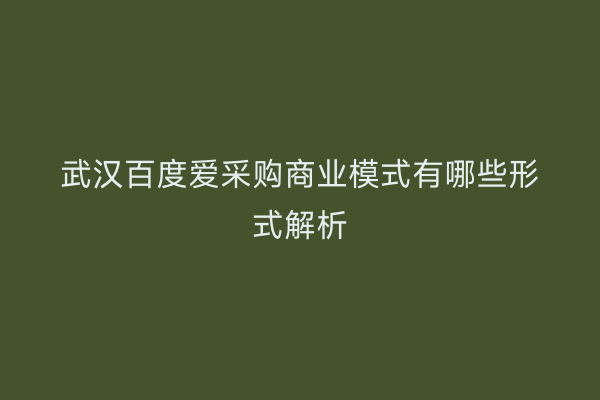 武汉百度爱采购商业模式有哪些形式解析