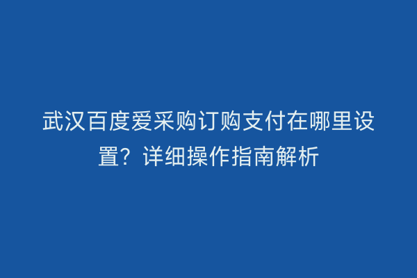 武汉百度爱采购订购支付在哪里设置？详细操作指南解析