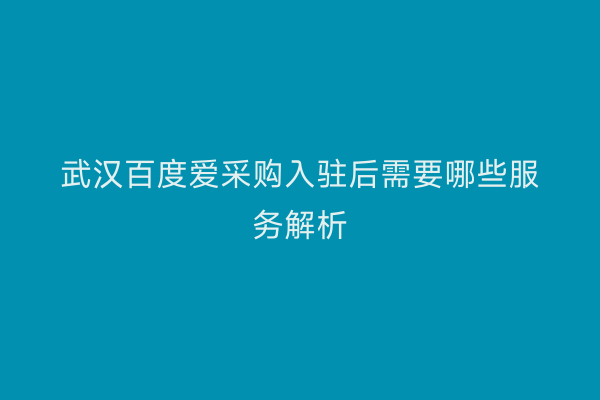 武汉百度爱采购入驻后需要哪些服务解析