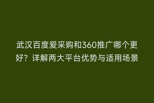 武汉百度爱采购和360推广哪个更好？详解两大平台优势与适用场景