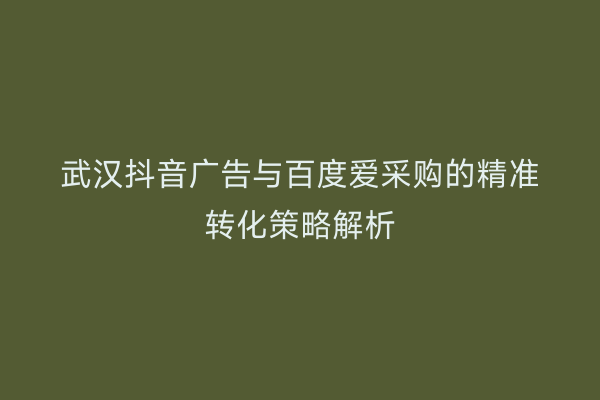 武汉抖音广告与百度爱采购的精准转化策略解析