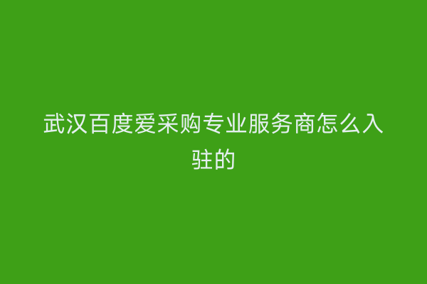 武汉百度爱采购专业服务商怎么入驻的