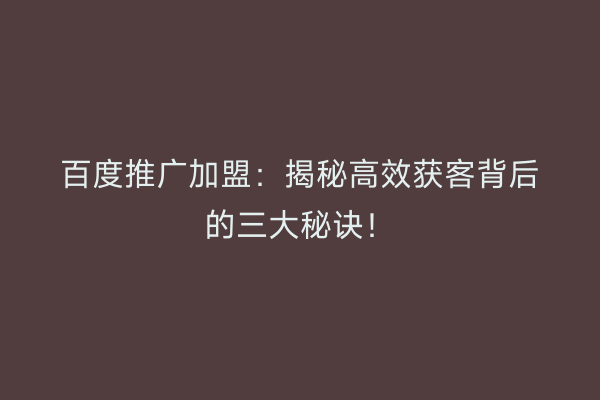 百度推广加盟：揭秘高效获客背后的三大秘诀！