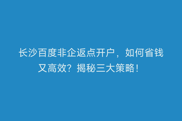 长沙百度非企返点开户，如何省钱又高效？揭秘三大策略！