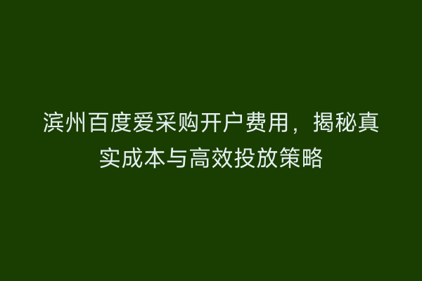 滨州百度爱采购开户费用，揭秘真实成本与高效投放策略